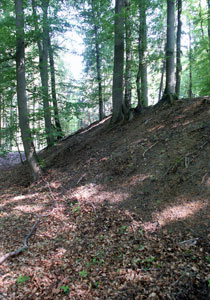 Station 4: Urkundenrolle Schule