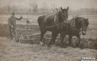 Bauer Thomas Krumbach bei der Feldarbeit mit dem Pferdegespann