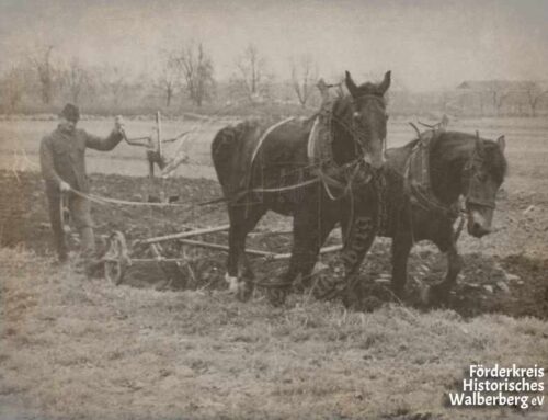 Gewerbe – Landwirtschaft